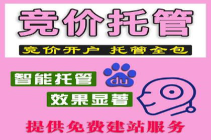 案例解析：SEM搜索引擎优化助力电商快速崛起